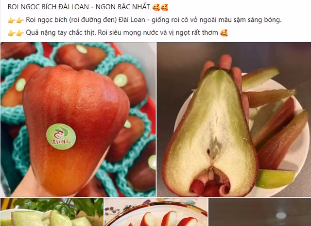 Roi ngoc bich Dai Loan gia dat do hut dan mang-Hinh-5