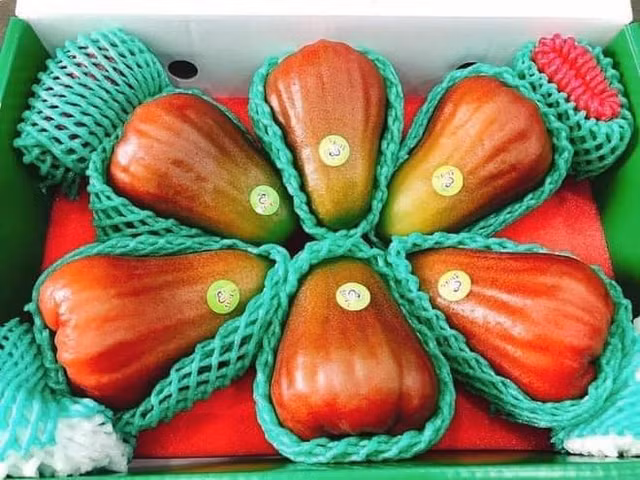 Roi ngoc bich Dai Loan gia dat do hut dan mang-Hinh-6