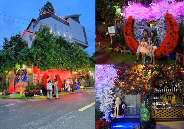 Sao Viet trang tri nha long lay don Giang sinh