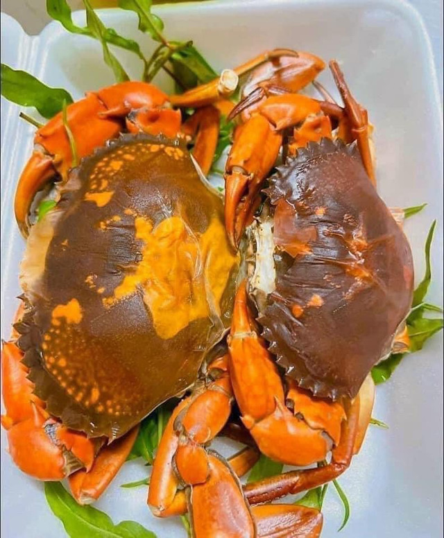 Cua cốm Cà Mau sánh ngang cua hoàng đế giá cả triệu đồng Cua com Ca Mau sanh ngang cua hoang de gia ca trieu dong