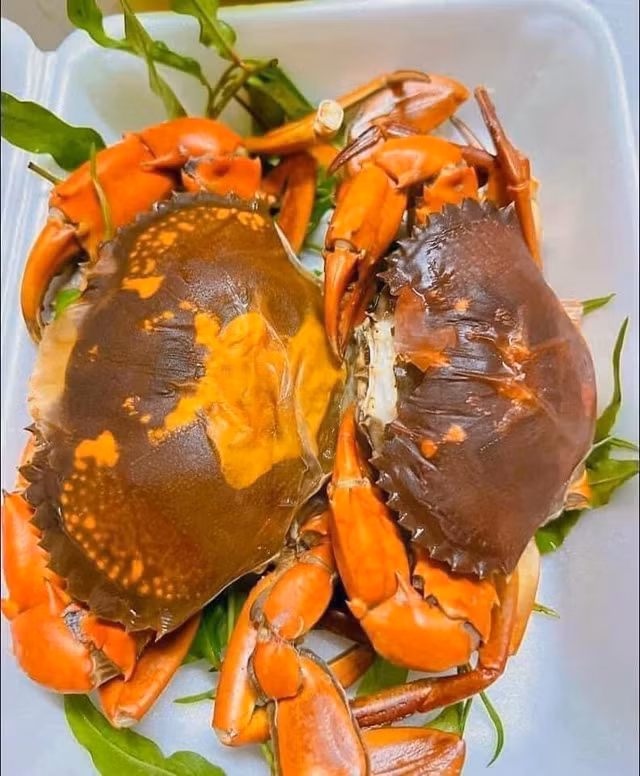 Cua cốm Cà Mau sánh ngang cua hoàng đế giá cả triệu đồng Cua com Ca Mau sanh ngang cua hoang de gia ca trieu dong