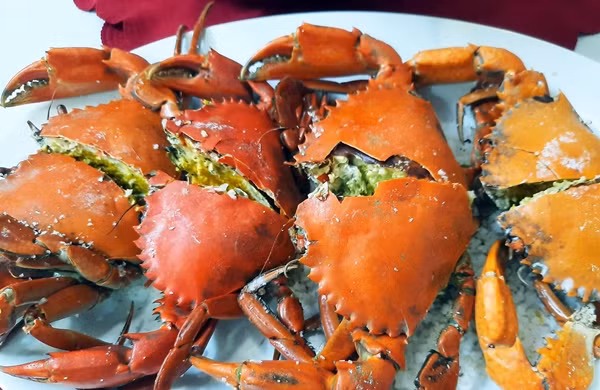 Cua cốm Cà Mau sánh ngang cua hoàng đế giá cả triệu đồng - Hình 8 Cua com Ca Mau sanh ngang cua hoang de gia ca trieu dong-Hinh-8