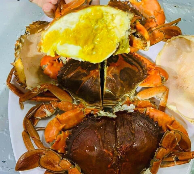 Cua cốm Cà Mau sánh ngang cua hoàng đế giá cả triệu đồng - Hình 3 Cua com Ca Mau sanh ngang cua hoang de gia ca trieu dong-Hinh-3