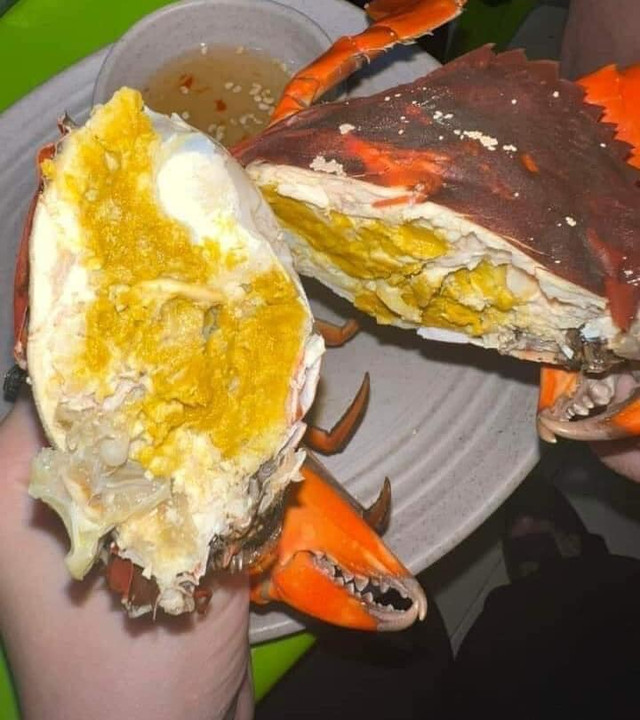 Cua cốm Cà Mau sánh ngang cua hoàng đế giá cả triệu đồng - Hình 6 Cua com Ca Mau sanh ngang cua hoang de gia ca trieu dong-Hinh-6