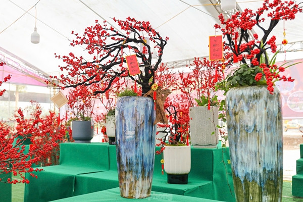 Ngỡ ngàng 'đào đông đỏ' Winterberry giá trăm triệu hút đại gia - Hình 2 Ngo ngang 'dao dong do' Winterberry gia tram trieu hut dai gia-Hinh-2