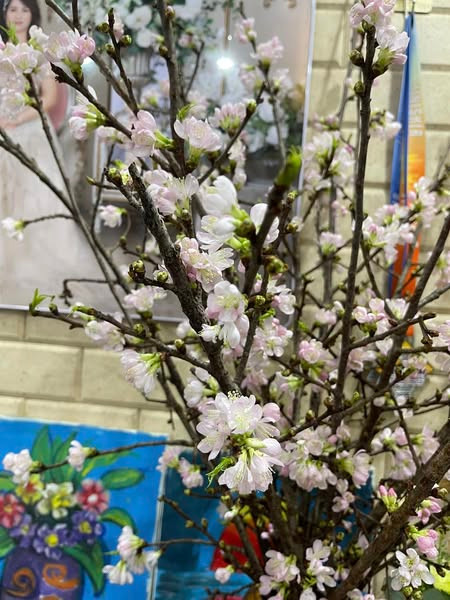 Them lua chon cho nguoi tieu dung voi hoa nhap khau gia re-Hinh-5