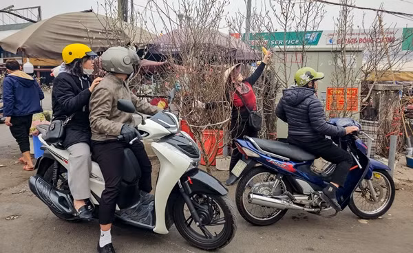 Thi truong Tet 2025 co them su lua chon Hoa moc lan gia tien trieu