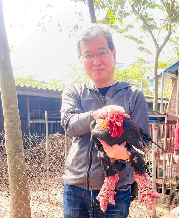 Gà Đông Tảo được khách nước ngoài chuộng mua biếu Tết - Hình 4 Ga Dong Tao duoc khach nuoc ngoai chuong mua bieu Tet-Hinh-4