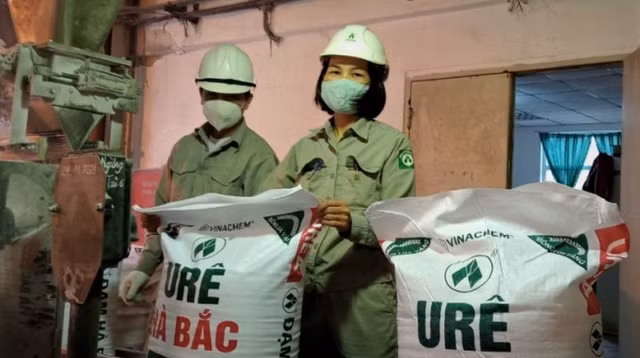 Dam Ha Bac quay tro lai quy dao thua lo sau 6 quy