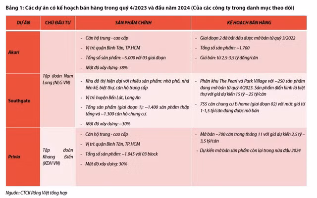 Thi truong bat dong san am dan, doanh nghiep ruc rich mo ban du an-Hinh-2