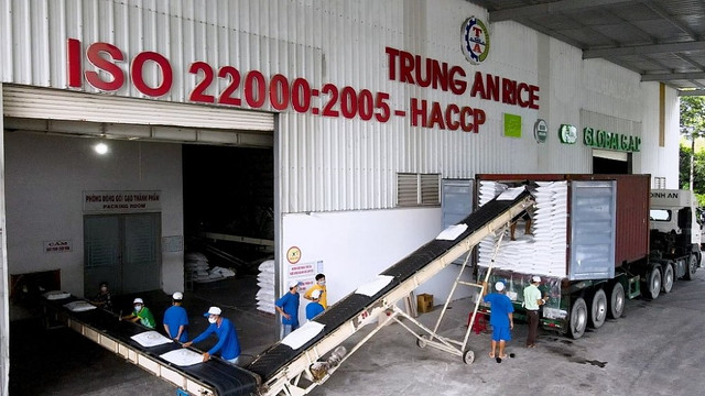 Gạo Trung An bị xử phạt và truy thu thuế gần 4 tỷ đồng Gao Trung An bi xu phat va truy thu thue gan 4 ty dong