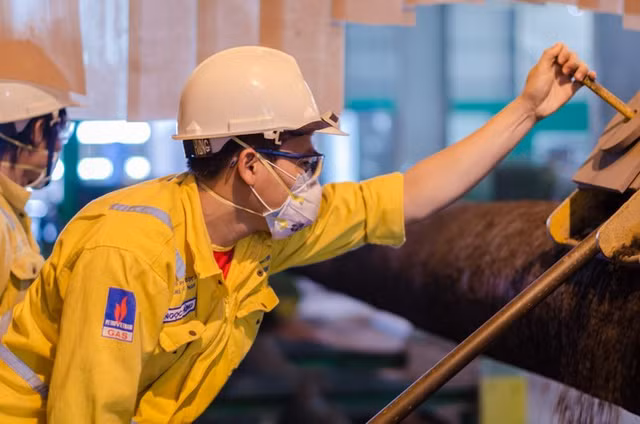 Noi dau kep cua PV Coating: Lo hon 12 ty trong quy 4, bi truy thu thue hon 4 ty