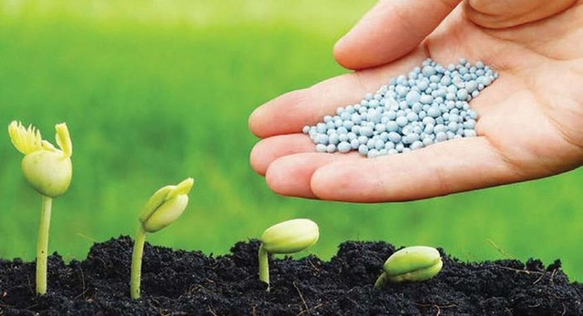 DPM và DCM: Lợi suất hấp dẫn DPM va DCM: Loi suat hap dan