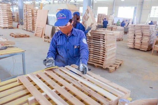 Phú Tài sắp chi 100 tỷ trả cổ tức dù kinh doanh khó khăn Phu Tai sap chi 100 ty tra co tuc du kinh doanh kho khan