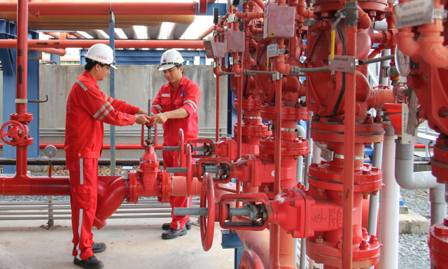 Nhơn Trạch 2 ghi nhận lãi quý 1 tăng 46% lên 234 tỷ đồng Nhon Trach 2 ghi nhan lai quy 1 tang 46% len 234 ty dong