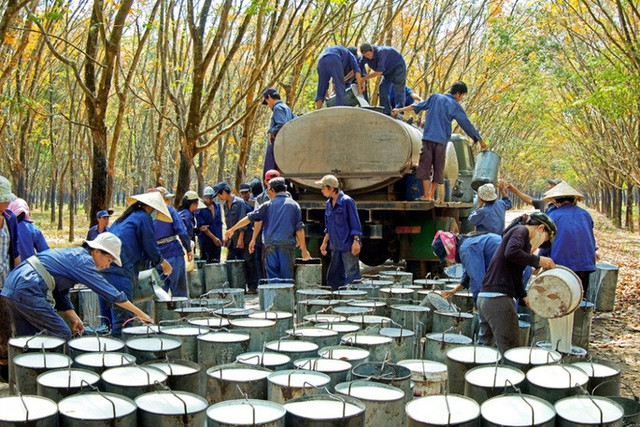 Chứng khoán phiên 18/12: Chú ý đến PHR, HPG, GAS Chung khoan phien 18/12: Chu y den PHR, HPG, GAS