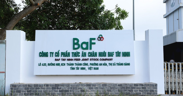 'Ông lớn' chăn nuôi BAF làm thêm mảng vận tải 'Ong lon' chan nuoi BAF lam them mang van tai