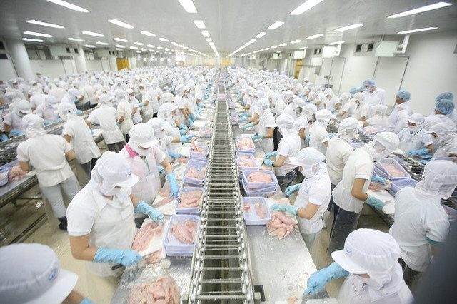 Agrex Sài Gòn bị phạt và truy thu thuế hơn 700 triệu đồng Agrex Sai Gon bi phat va truy thu thue hon 700 trieu dong