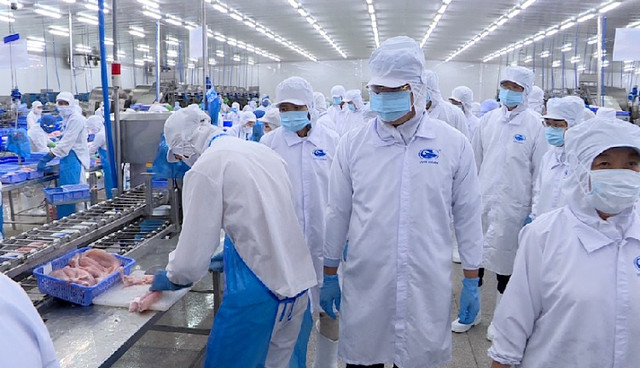 Vĩnh Hoàn: Doanh thu xuất khẩu tiếp tục sụt giảm 45% trong tháng 1 Vinh Hoan: Doanh thu xuat khau tiep tuc sut giam 45% trong thang 1