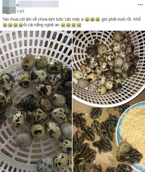 Nắng nóng đỉnh điểm, hàng loạt CĐM trở thành bố mẹ đơn thân Nang nong dinh diem, hang loat CDM tro thanh bo me don than