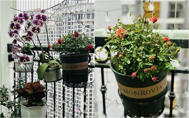 Dan sao nam Tao quan so huu nhung can nha hoanh trang the nao?-Hinh-12