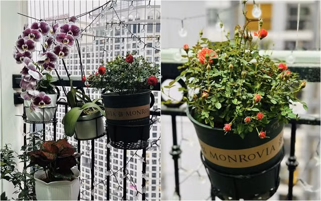 Dan sao nam Tao quan so huu nhung can nha hoanh trang the nao?-Hinh-12