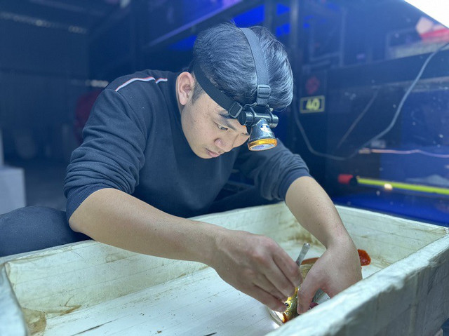 Bất ngờ những nghề độc lạ thu nhập cao ở Việt Nam - Hình 3 Bat ngo nhung nghe doc la thu nhap cao o Viet Nam-Hinh-3