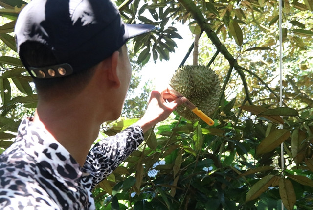 Bất ngờ những nghề độc lạ thu nhập cao ở Việt Nam - Hình 4 Bat ngo nhung nghe doc la thu nhap cao o Viet Nam-Hinh-4