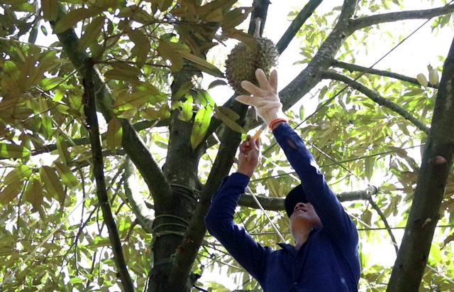 Bất ngờ những nghề độc lạ thu nhập cao ở Việt Nam - Hình 6 Bat ngo nhung nghe doc la thu nhap cao o Viet Nam-Hinh-6