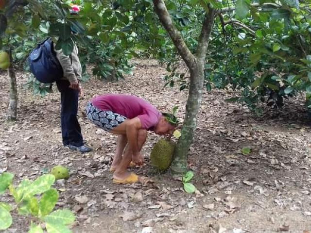 Bất ngờ những nghề độc lạ thu nhập cao ở Việt Nam - Hình 9 Bat ngo nhung nghe doc la thu nhap cao o Viet Nam-Hinh-9