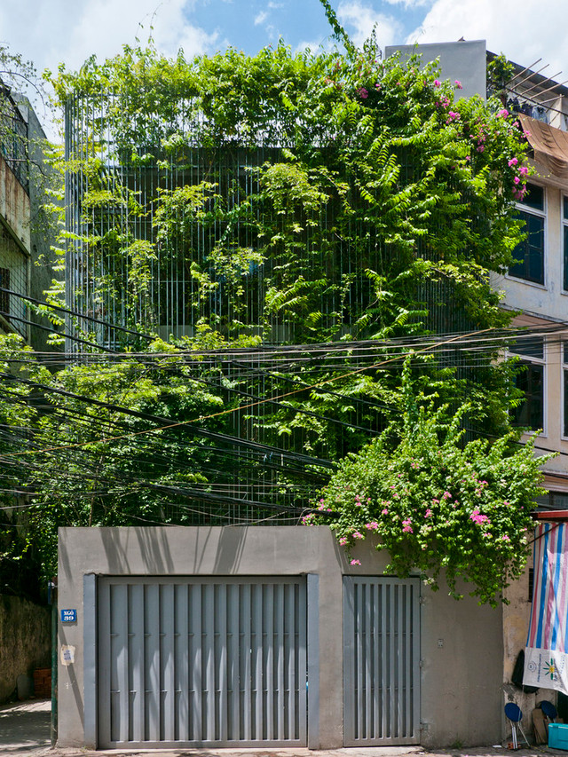 Bên trong căn nhà phố như ốc đảo xanh giữa Hà Nội Ben trong can nha pho nhu oc dao xanh giua Ha Noi