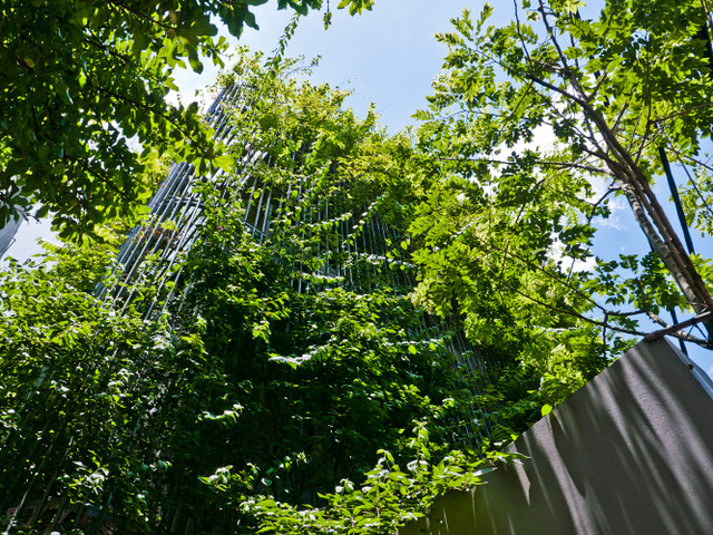 Bên trong căn nhà phố như ốc đảo xanh giữa Hà Nội - Hình 11 Ben trong can nha pho nhu oc dao xanh giua Ha Noi-Hinh-11