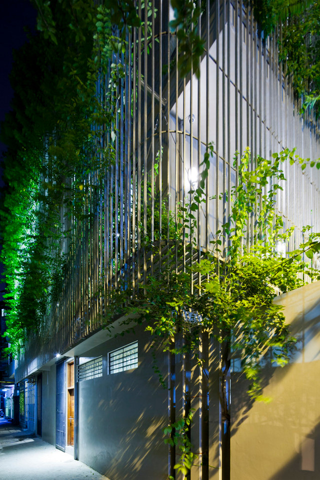 Bên trong căn nhà phố như ốc đảo xanh giữa Hà Nội - Hình 7 Ben trong can nha pho nhu oc dao xanh giua Ha Noi-Hinh-7