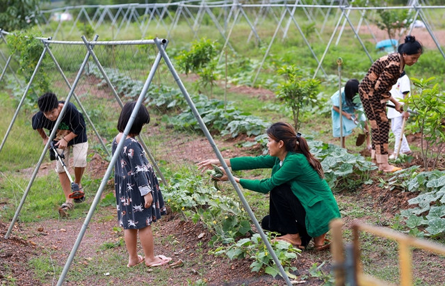 Trong trang trại rộng hơn 10ha, Hoa hậu Oanh Yến trồng rất nhiều rau xanh - Hình 7 Trong trang trai rong hon 10ha, Hoa hau Oanh Yen trong rat nhieu rau xanh-Hinh-7