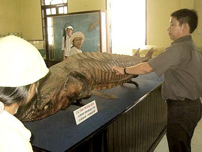 Nhiều người không đủ dũng khí làm các công việc này dù lương rất cao - Hình 9 Nhieu nguoi khong du dung khi lam cac cong viec nay du luong rat cao-Hinh-9