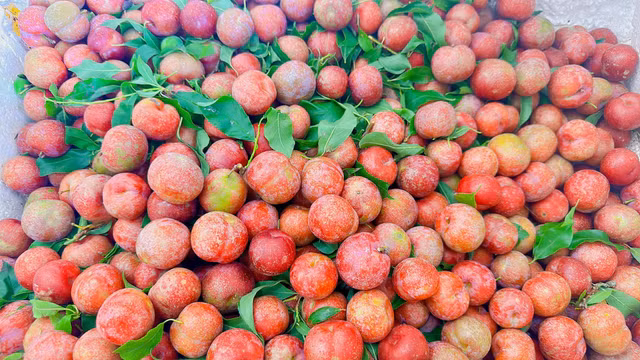 Bat chap gia cao toi 300.000 dong/kg, man dau mua van dong nguoi mua-Hinh-8