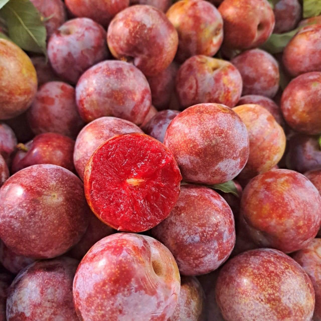 Bat chap gia cao toi 300.000 dong/kg, man dau mua van dong nguoi mua-Hinh-6