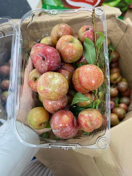 Bat chap gia cao toi 300.000 dong/kg, man dau mua van dong nguoi mua-Hinh-4