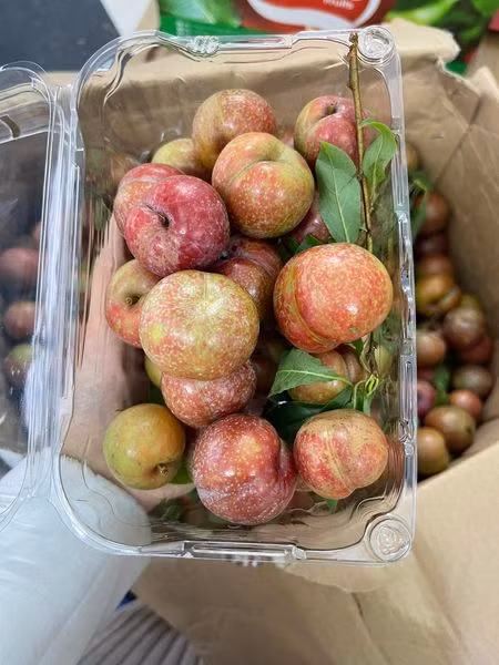 Bat chap gia cao toi 300.000 dong/kg, man dau mua van dong nguoi mua-Hinh-4