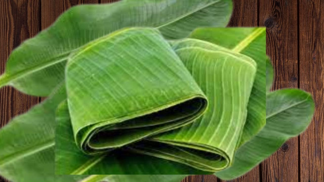 3 loại lá người dân vứt bỏ nay thành hàng xuất khẩu triệu USD - Hình 6 3 loai la nguoi dan vut bo nay thanh hang xuat khau trieu USD-Hinh-6