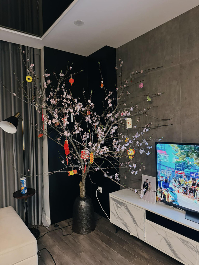 Vào bên trong tổ ấm của hậu vệ Thành Chung và vợ hotgirt - Hình 6 Vao ben trong to am cua hau ve Thanh Chung va vo hotgirt-Hinh-6