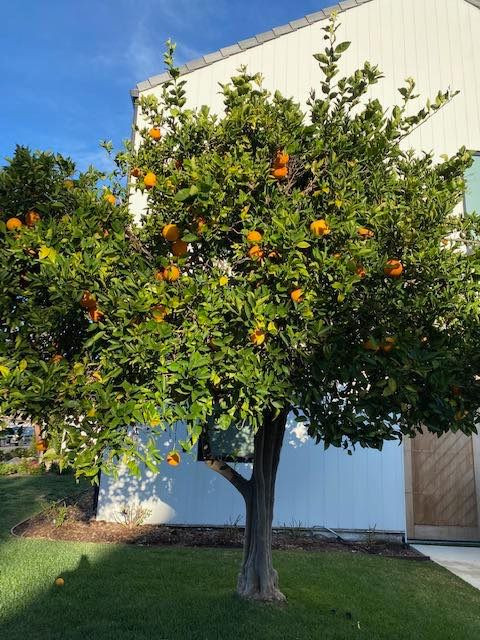 Cuốc sống ngày càng kín tiếng của tỷ phú Hoàng Kiều - Hình 10 Cuoc song ngay cang kin tieng cua ty phu Hoang Kieu-Hinh-10