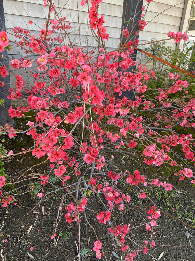 Cuốc sống ngày càng kín tiếng của tỷ phú Hoàng Kiều - Hình 9 Cuoc song ngay cang kin tieng cua ty phu Hoang Kieu-Hinh-9