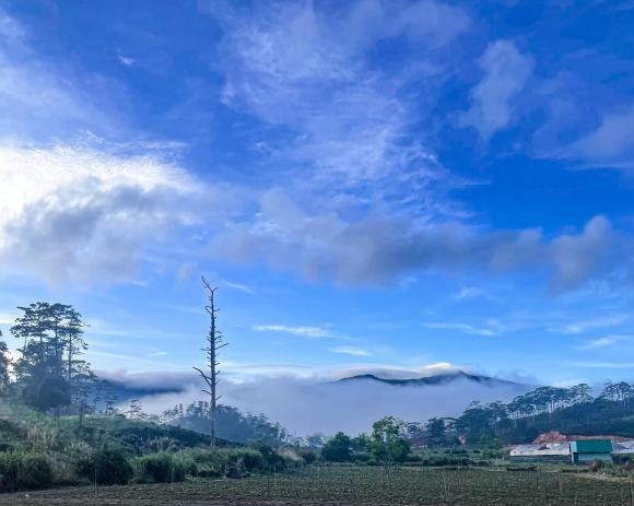 Lý Quí Khánh khoe vườn hoa rộng thênh thang như chốn "bồng lai tiên cảnh" - Hình 4 Ly Qui Khanh khoe vuon hoa rong thenh thang nhu chon