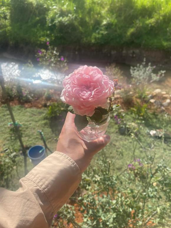 Lý Quí Khánh khoe vườn hoa rộng thênh thang như chốn "bồng lai tiên cảnh" - Hình 10 Ly Qui Khanh khoe vuon hoa rong thenh thang nhu chon