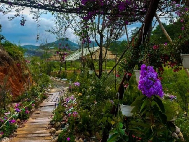 Lý Quí Khánh khoe vườn hoa rộng thênh thang như chốn "bồng lai tiên cảnh" - Hình 5 Ly Qui Khanh khoe vuon hoa rong thenh thang nhu chon