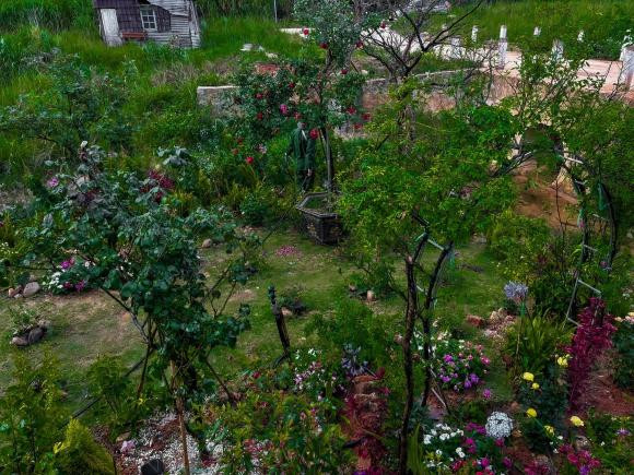 Lý Quí Khánh khoe vườn hoa rộng thênh thang như chốn "bồng lai tiên cảnh" - Hình 3 Ly Qui Khanh khoe vuon hoa rong thenh thang nhu chon