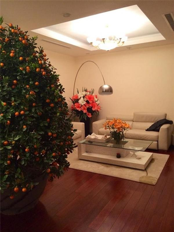 Chi tiết khối tài sản khủng của ca sĩ Tuấn Hưng sau 20 năm ca hát - Hình 4 Chi tiet khoi tai san khung cua ca si Tuan Hung sau 20 nam ca hat-Hinh-4