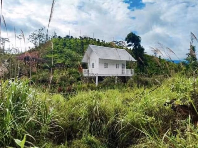 Ngam nha vuon rong menh mong o Da Lat cua dan sao Viet-Hinh-2