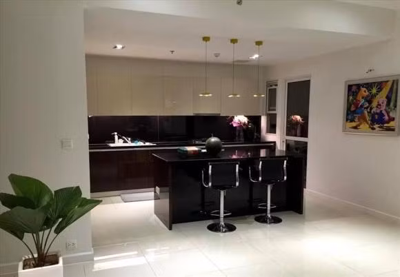 Ben trong can ho cao cap 8 ty cua ca sy Duong Trieu Vu o TP HCM-Hinh-8